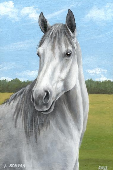 Portret konia 1