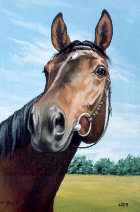 Portret konia Darna