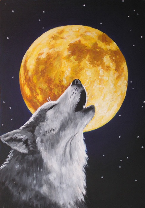 Wilk i pełnia księżyca